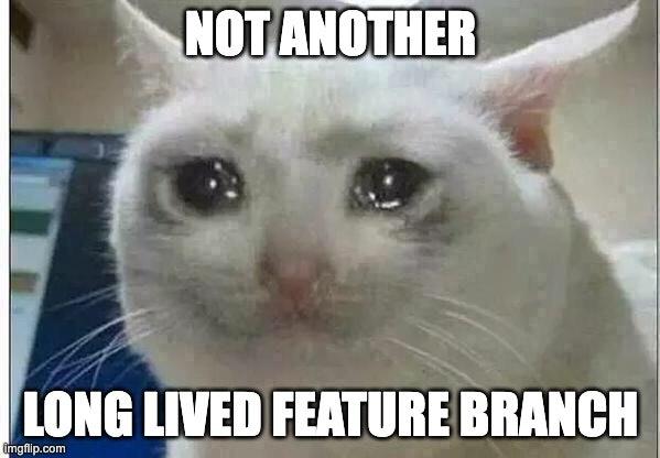 meme: sad cat saying "not another long lived feature branch"