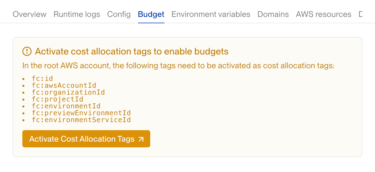 Missing cost allocation tags in AWS Cost Explorer